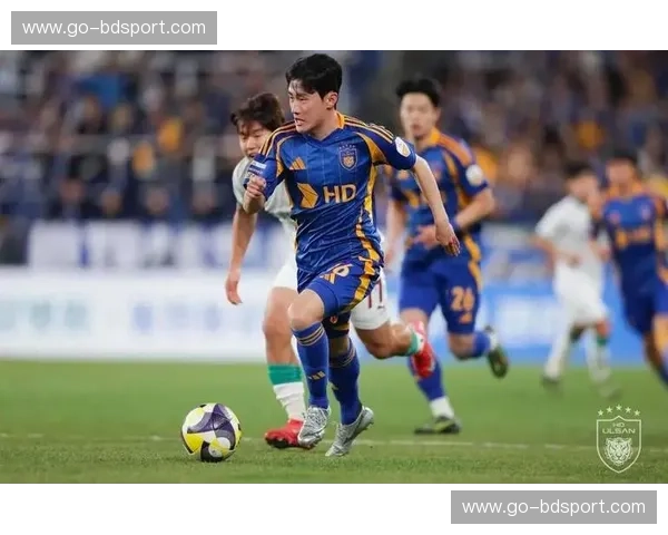 蓝色的巅峰礼赞：当上海申花遇上蔚山现代，不仅仅是一场足球的碰撞